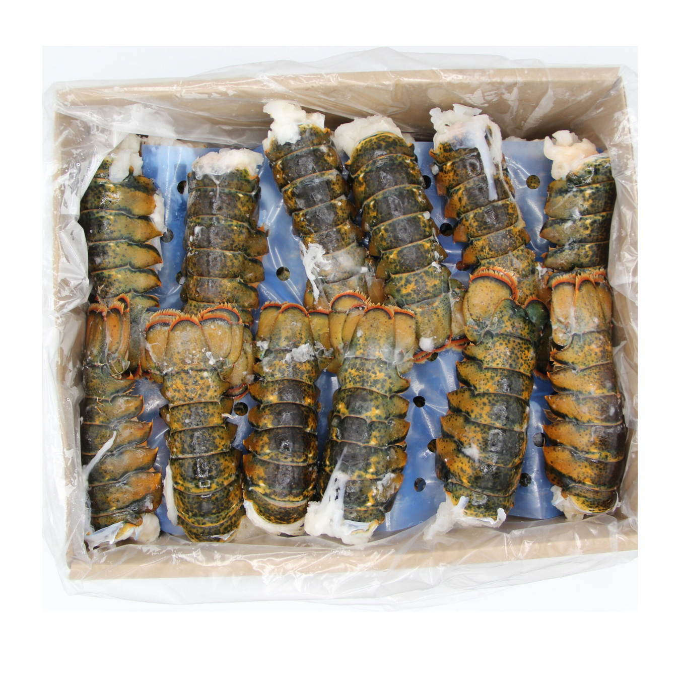 4LB LOBSTER TAILS Case