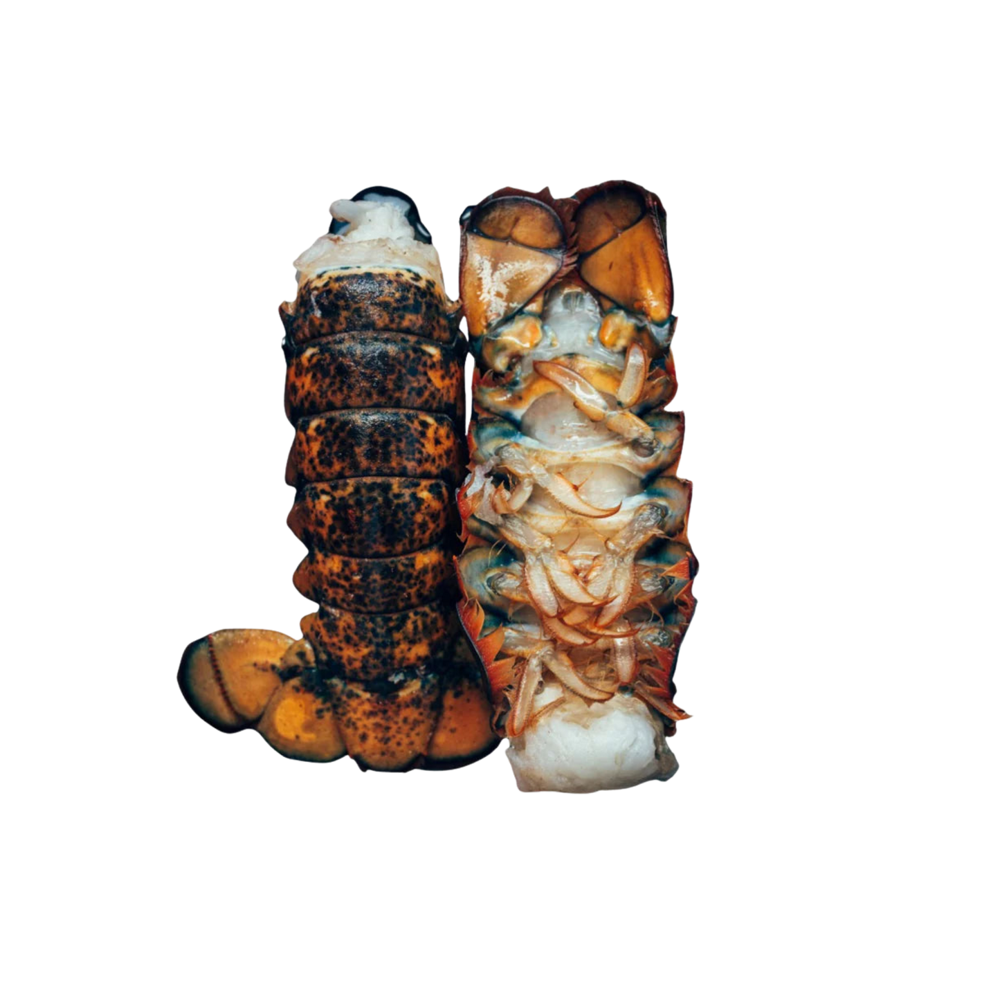 4LB LOBSTER TAILS Case