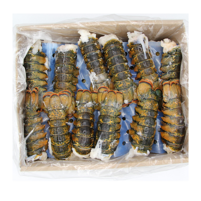 4LB LOBSTER TAILS Case