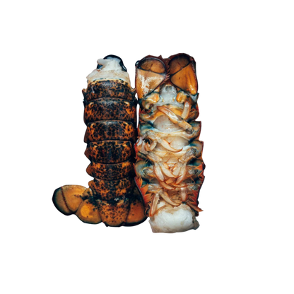 4LB LOBSTER TAILS Case